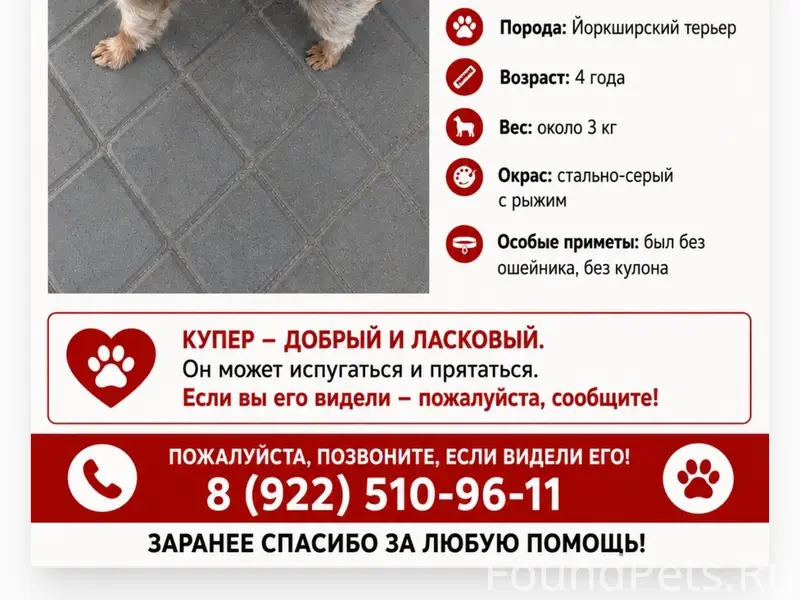 Пропала собака