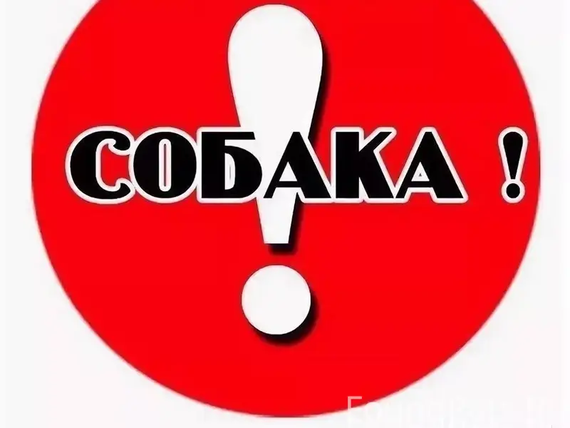 Пропал Джек, пос. Владимировский