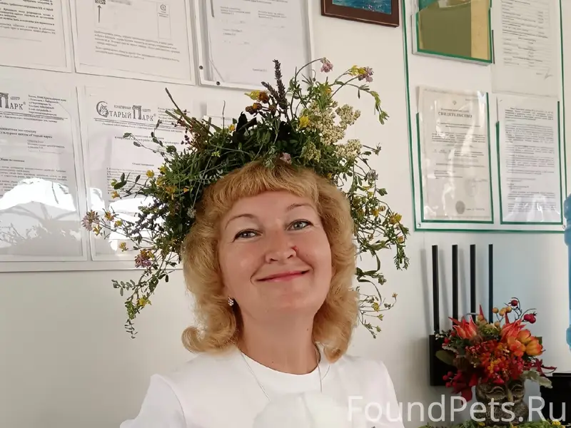 У кого-то пропала собака...
"Пропала...