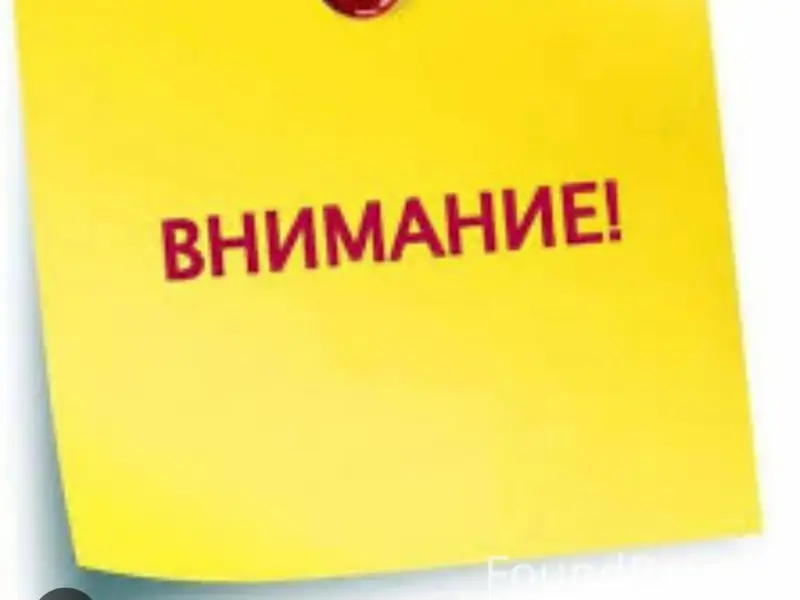 Пропал пёс, возрастная собака, река Койва