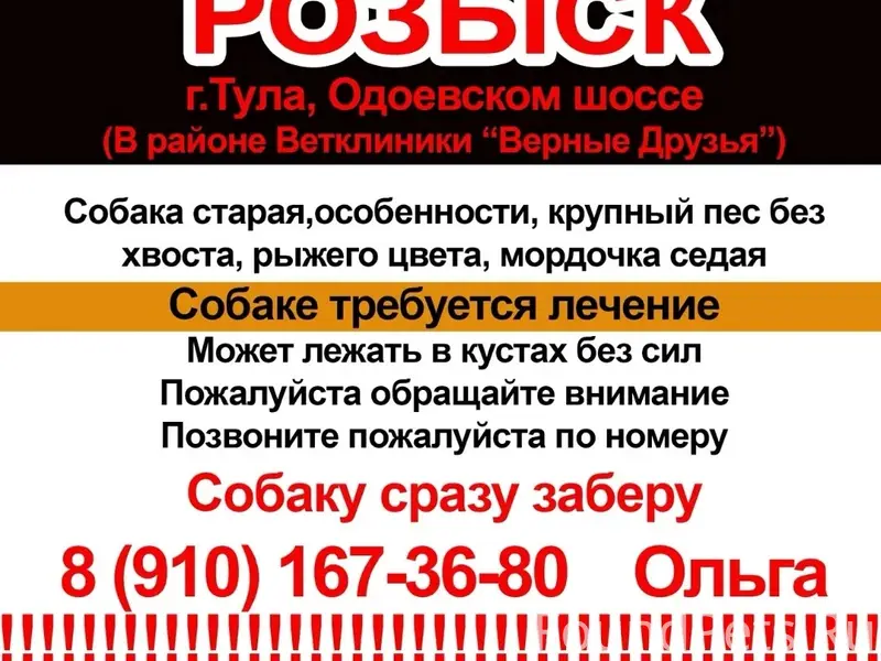 Пропал большой пёс, Тула