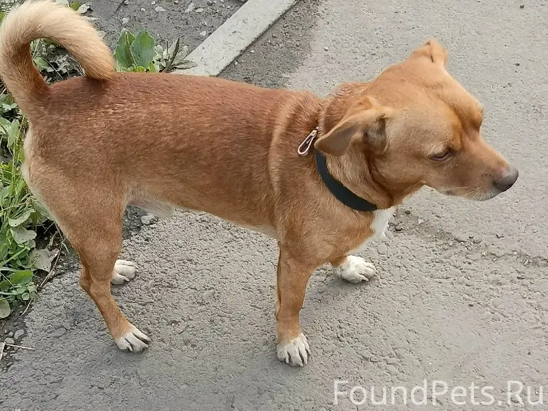 Найден кабель
