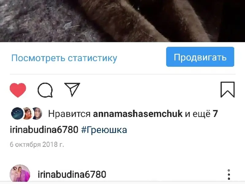 Пропал кот Грей, Григорово