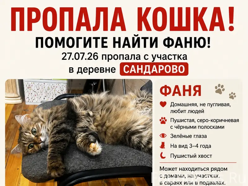 Пропала кошка Фаня, Д. Сандарово, Чеховский район