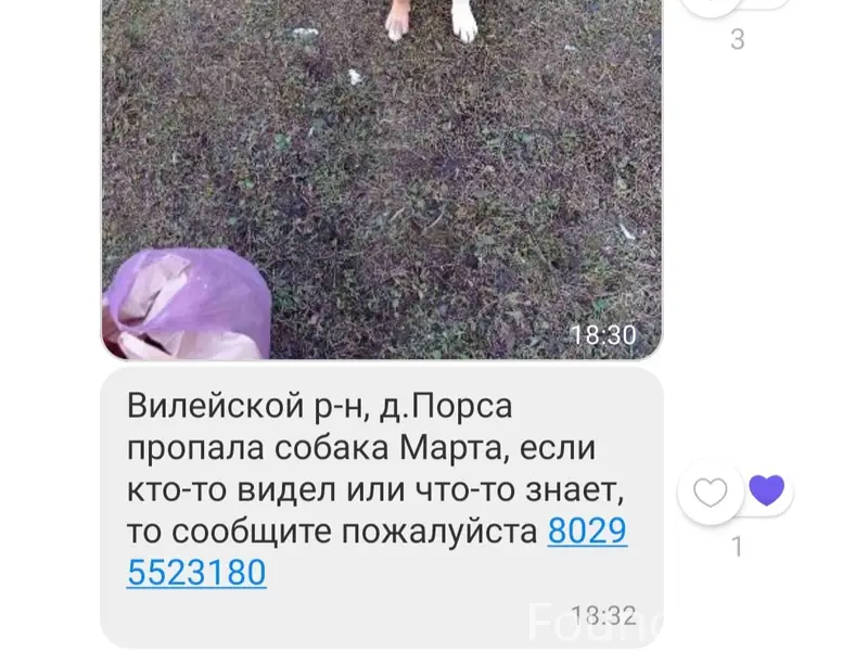 Пропала собака Марта