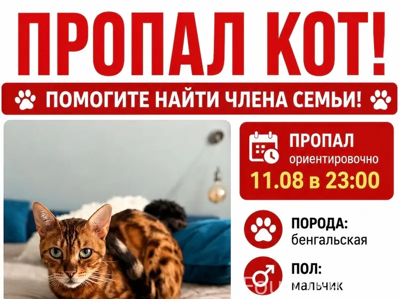 Пропал бенгальский кот Рокки, Юбилейный район Саратова