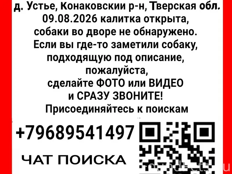 Пропала собака Афина, д. Устье, Конаковский р-н