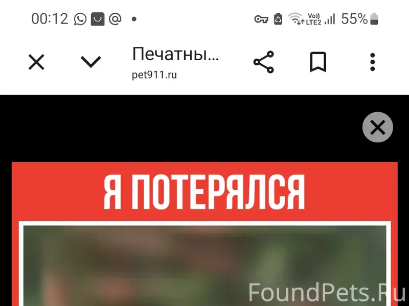 Я Потерялась!!!