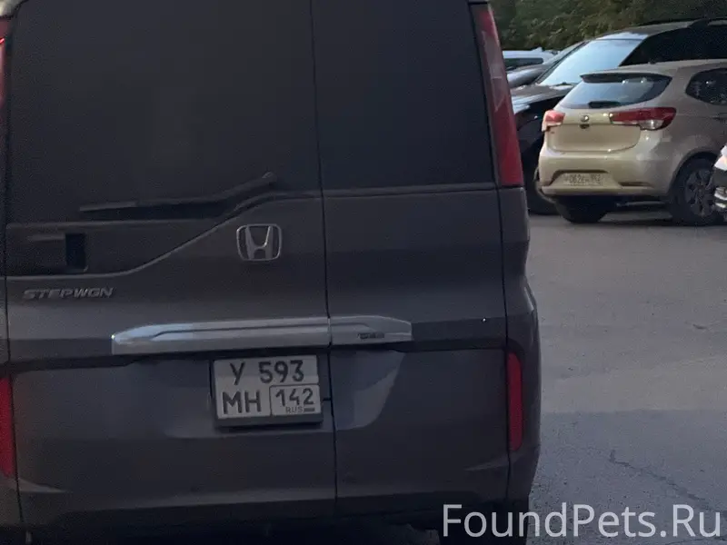 Пропал пожилой пёс, хромает, район комсомольской площадки