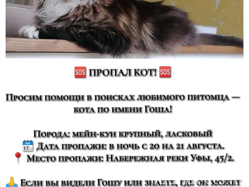 Пропал мейн-кун Гоша, Набережная реки Уфы