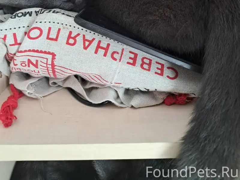 Пропал котик,мы его ждём,верните если кто взял,мы его очень любим.
