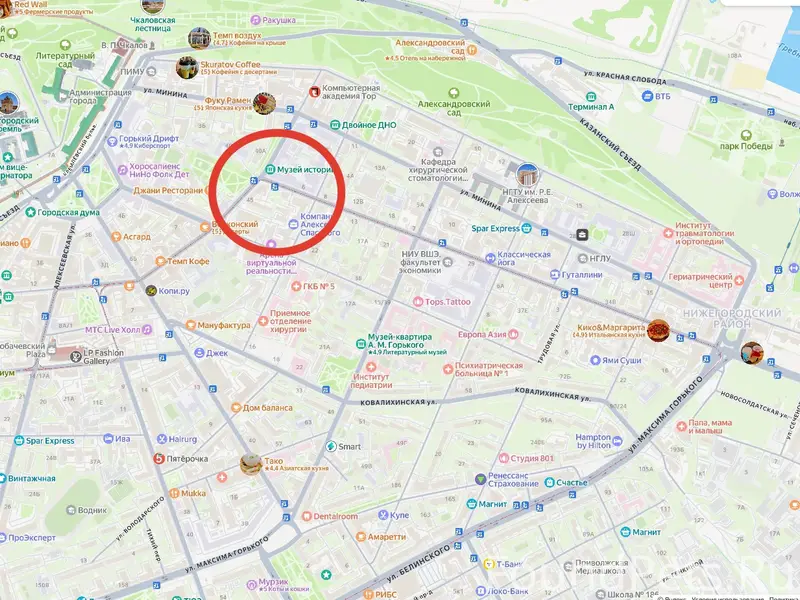 Найдена кошка, Нижний Новгород