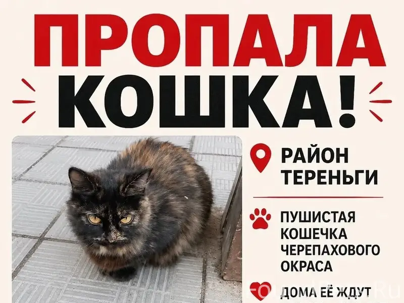 Пропала кошка, Тереньга