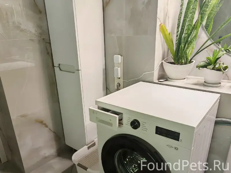 Пропал кот, дом