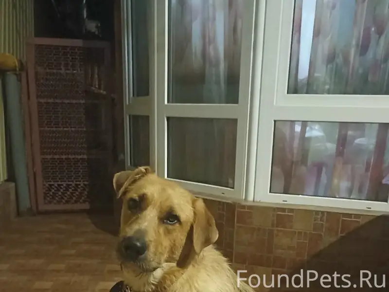 Пропал Малыш, Кудепста