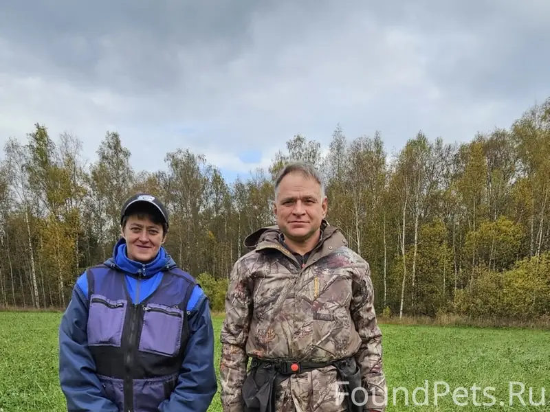 Пропал Малинуа Флай, Пушкинский район