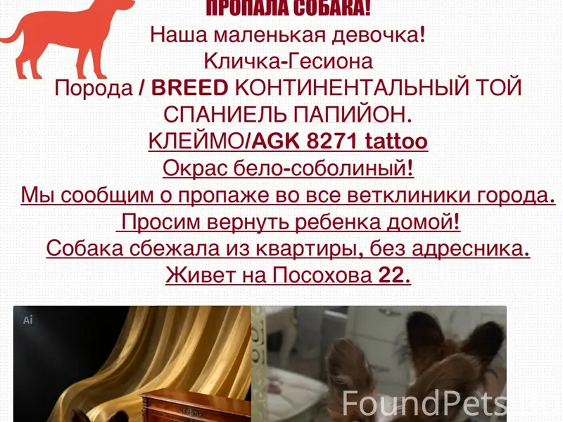 Пропала собака, Красноперекопский район