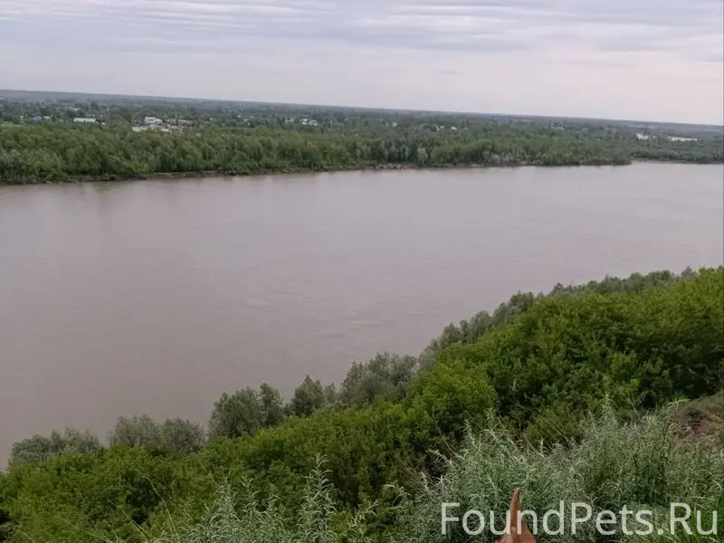 Пропала собака Ева, Правобережный тракт