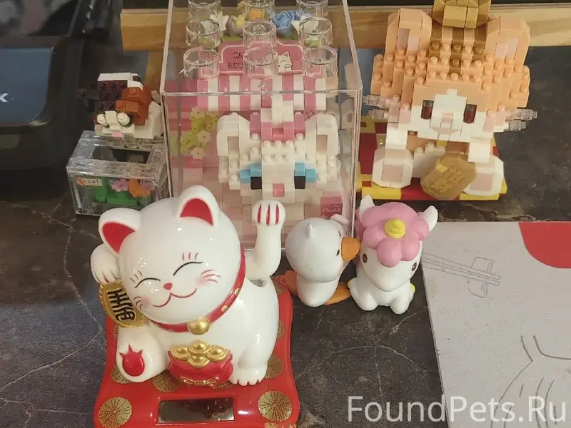 Пропали кошки, г. Электросталь, тц «Парк Плаза»