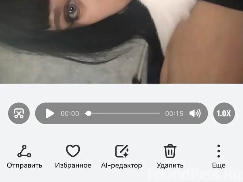 Пропал кот, центр, Красноармейская 18
