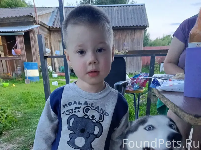 Пропала Хаски, район озера Каменное