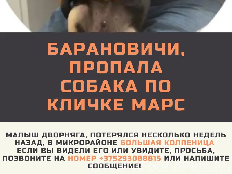 Пропал друг Марс