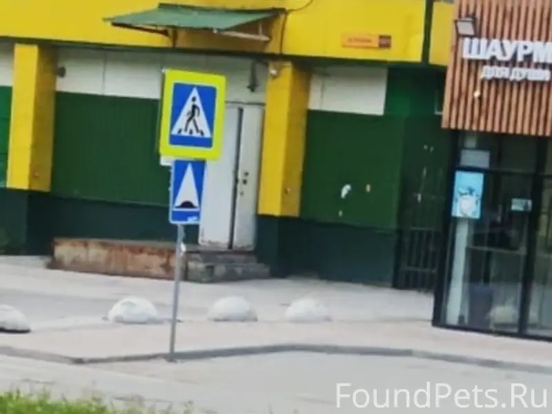 Найден кобель немецкой овчарки, Затулинский жилмассив