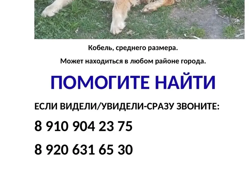 Пропал Хват, Олимпийский городок