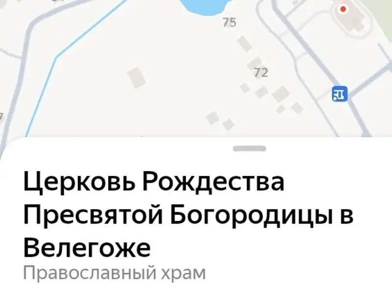 Пропала белая кошка, Велегож