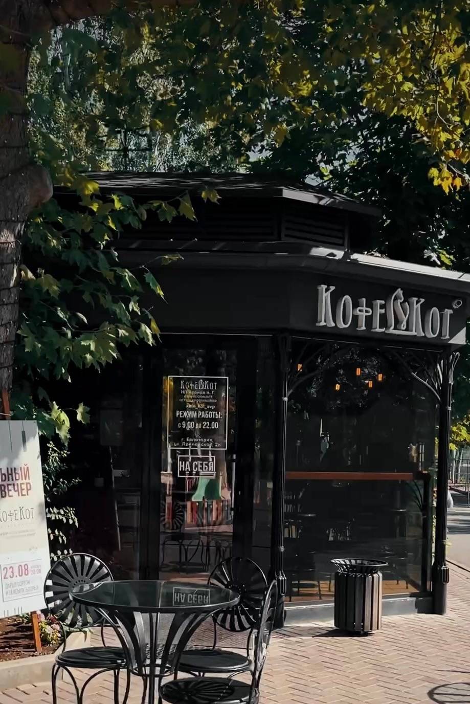 Пропал котёнок, дымчатый, ул. Фестивальная