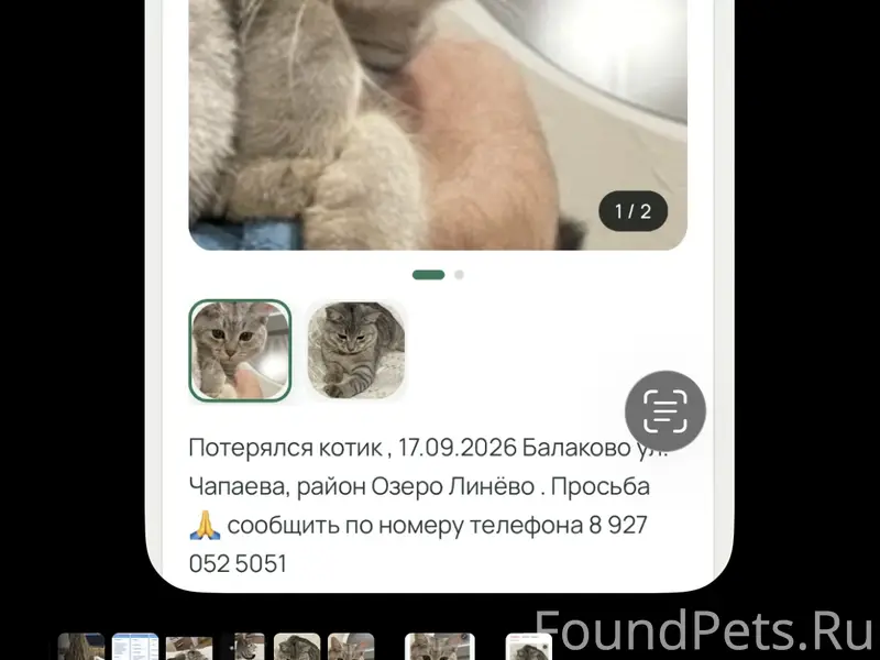 Пропал Коти Беляш , район Озеро Линёво 