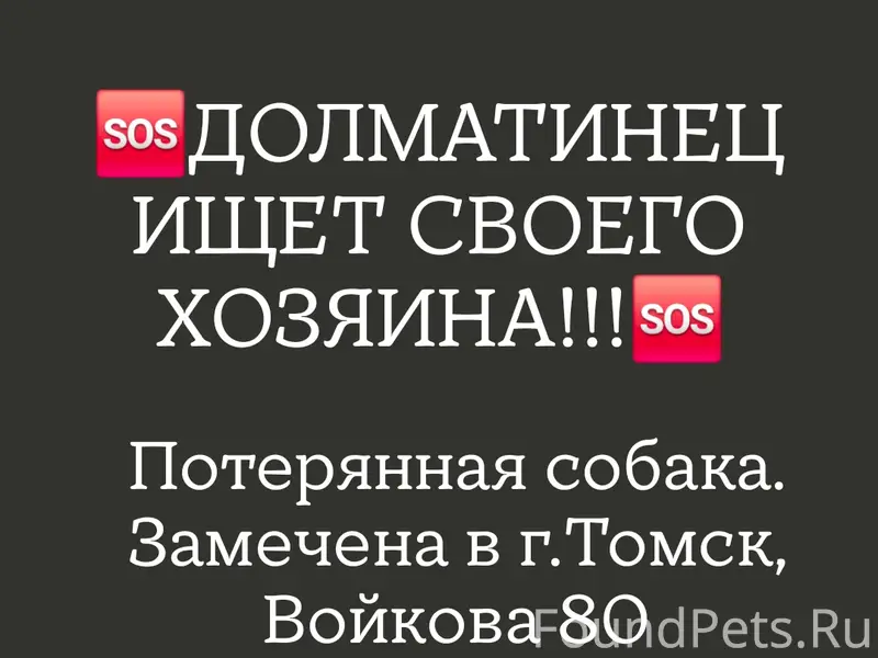Найден Долматинец