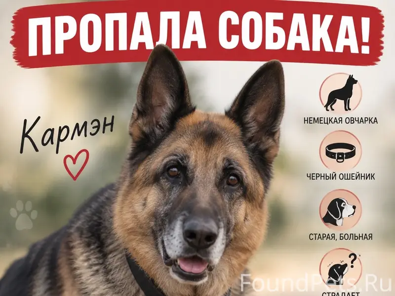 Пропала немецкая овчарка Кармэн, ЖК Малино