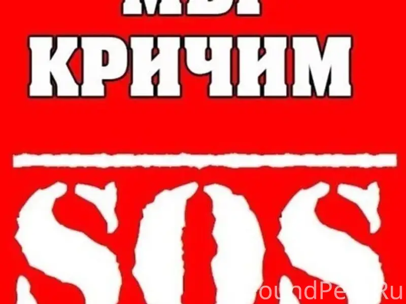Найден щенок, Каменск