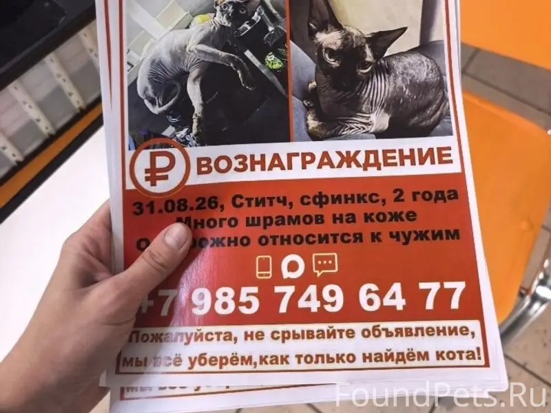 Пропал сфинкс, Бескудниково