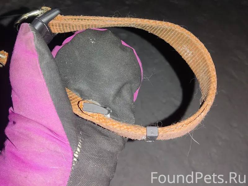 На лыжне за гаражами на Олимпи...