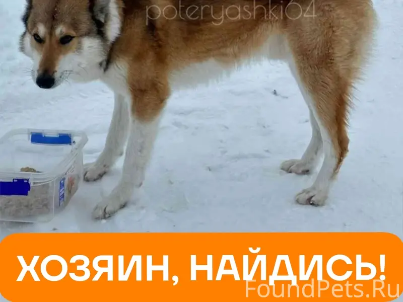 Саратовская область, Воскресен...