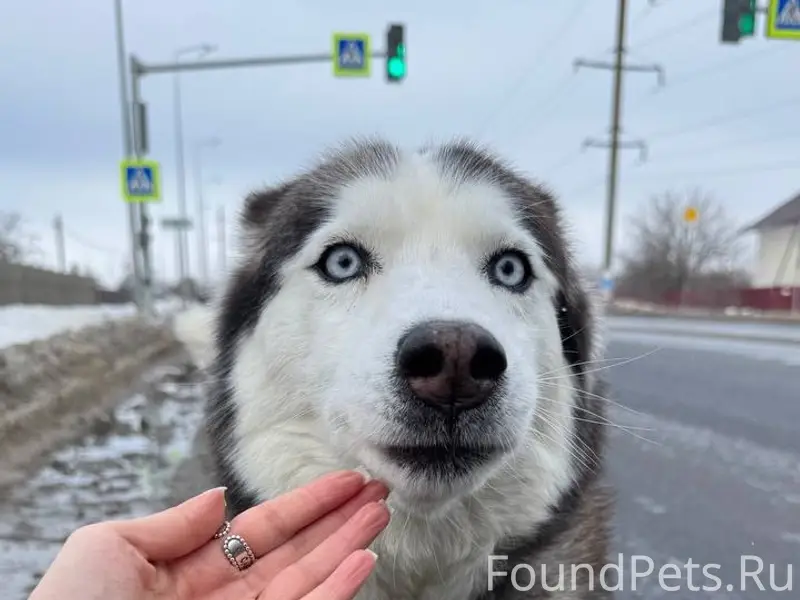 Друзья, прошу максимального ре...