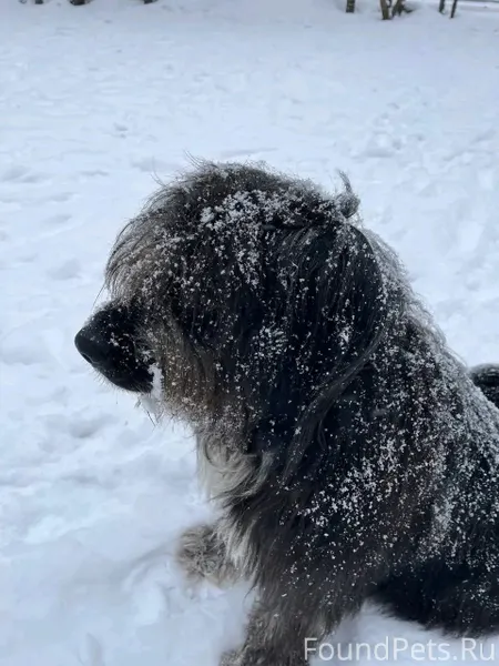 Истории из жизни Мария Стрельц...