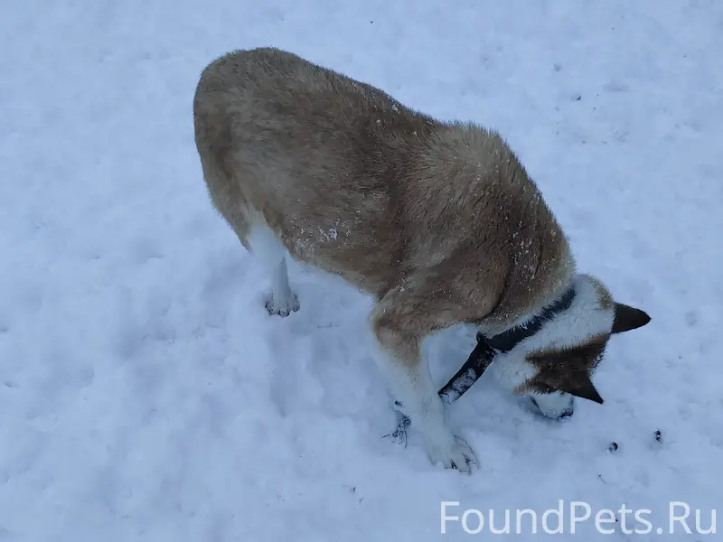 Добрый вечер! Может у кого то....