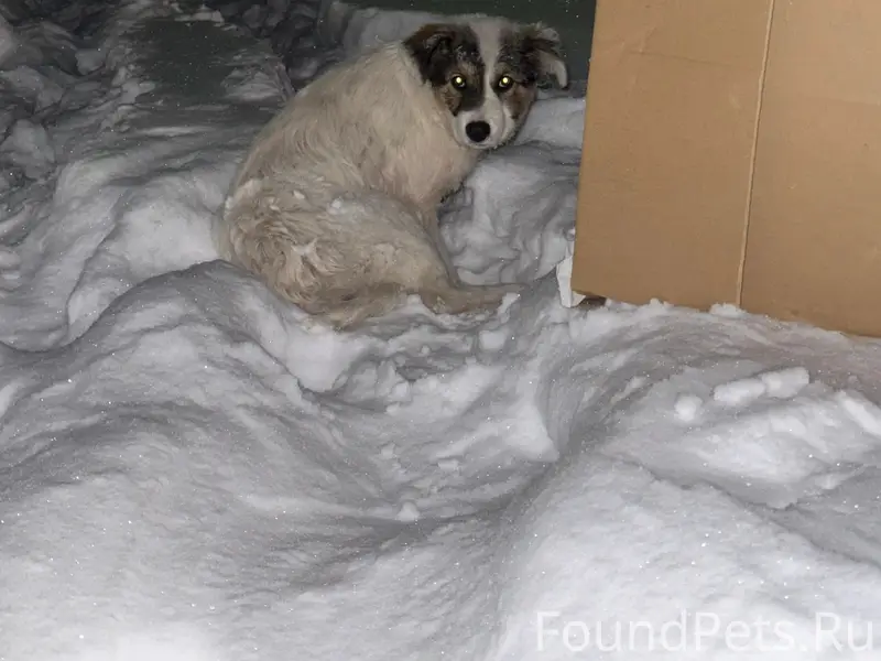 🚨 СРОЧНО ТРЕБУЕТСЯ ПОМОЩЬ! Сел...