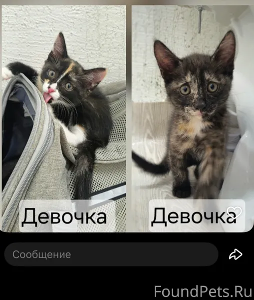 Здравствуйте, можете помочь пр...