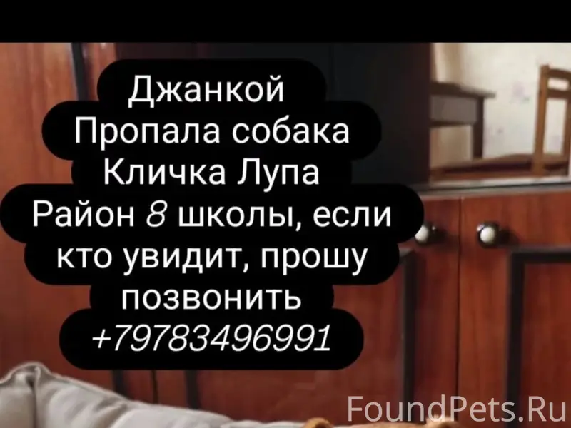 ❗❗❗❗❗ ПОМОГАЮ ИНФОРМАЦИОННО ❗ ...