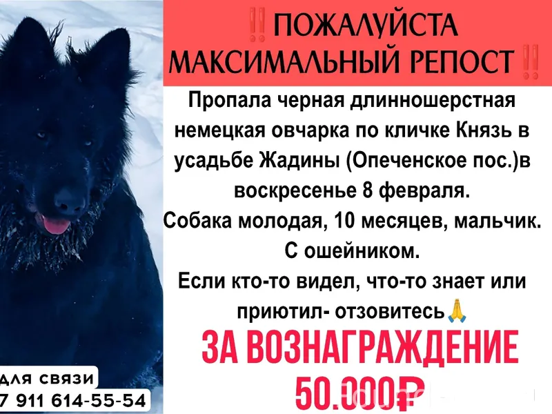 Ребята, помогите, пожалуйста!!...