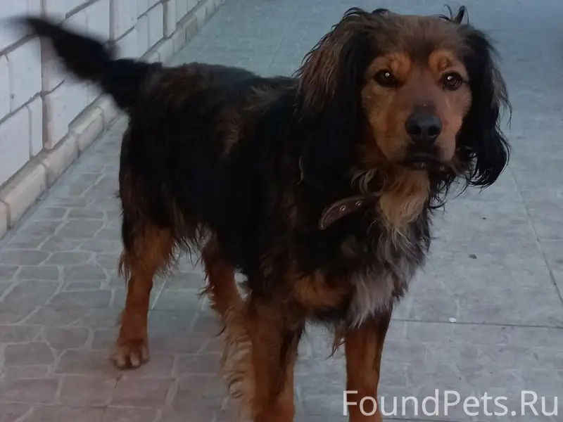 Репост пожалуйста!!!! Евпатори...