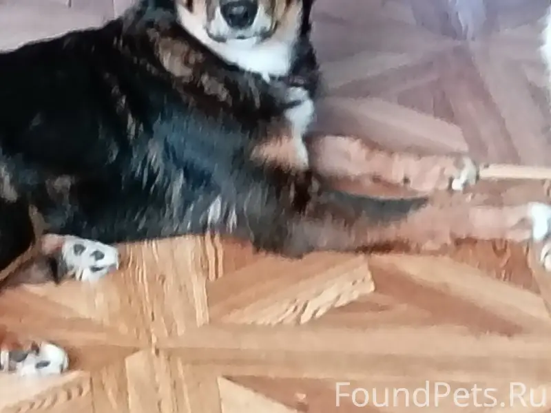 11.02.26 на южном не...