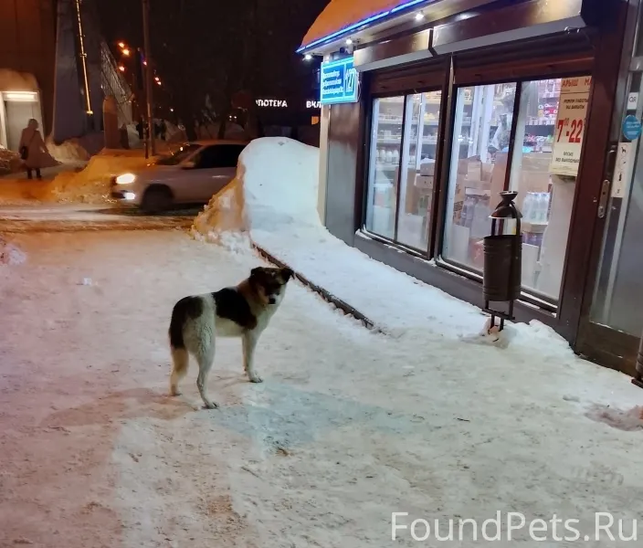 Ягодная Слобода, Кировский рай...