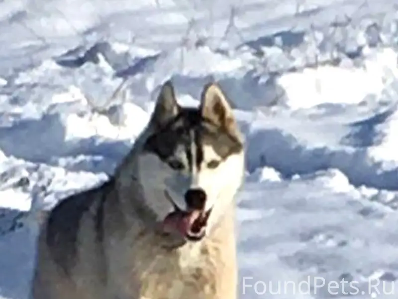 🚨Внимание!🚨Мостовской, микрора...