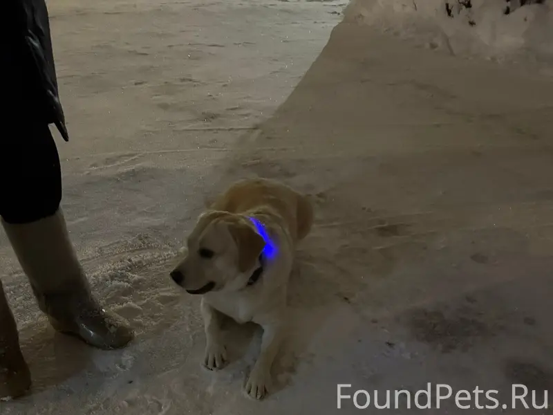 Серпухов., р-н Бумажной фабрик...