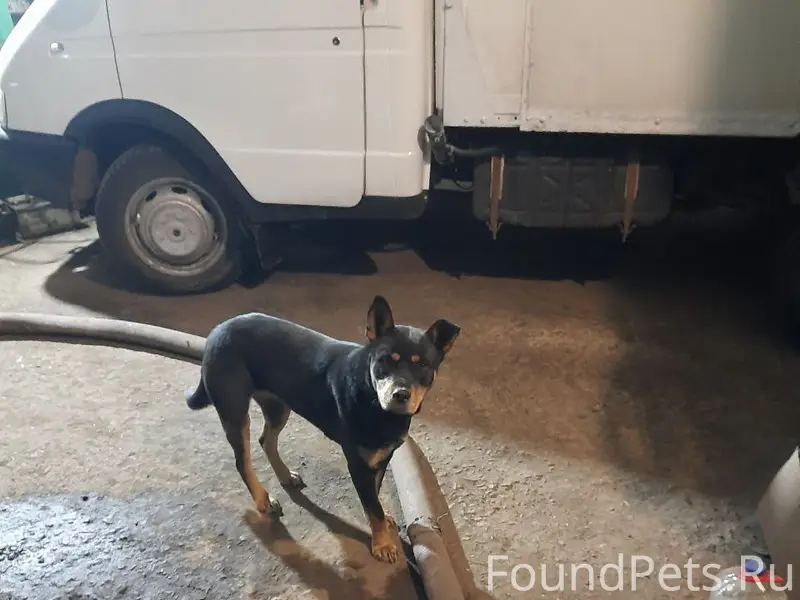 Здравствуйте, опубликуйте пожа...